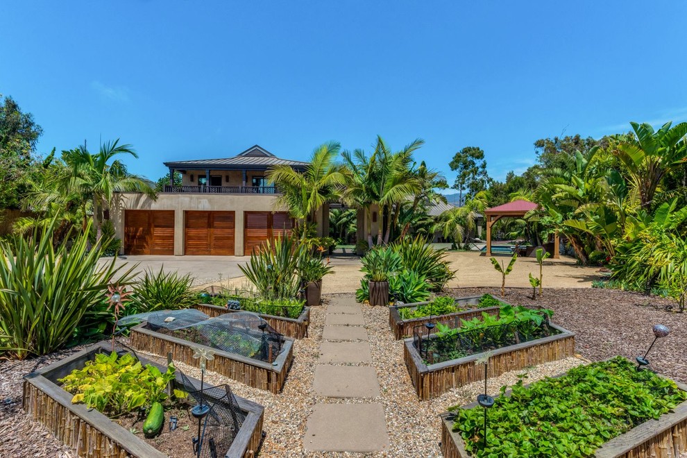Inspiration för en mycket stor tropisk trädgård i full sol framför huset på sommaren, med en trädgårdsgång