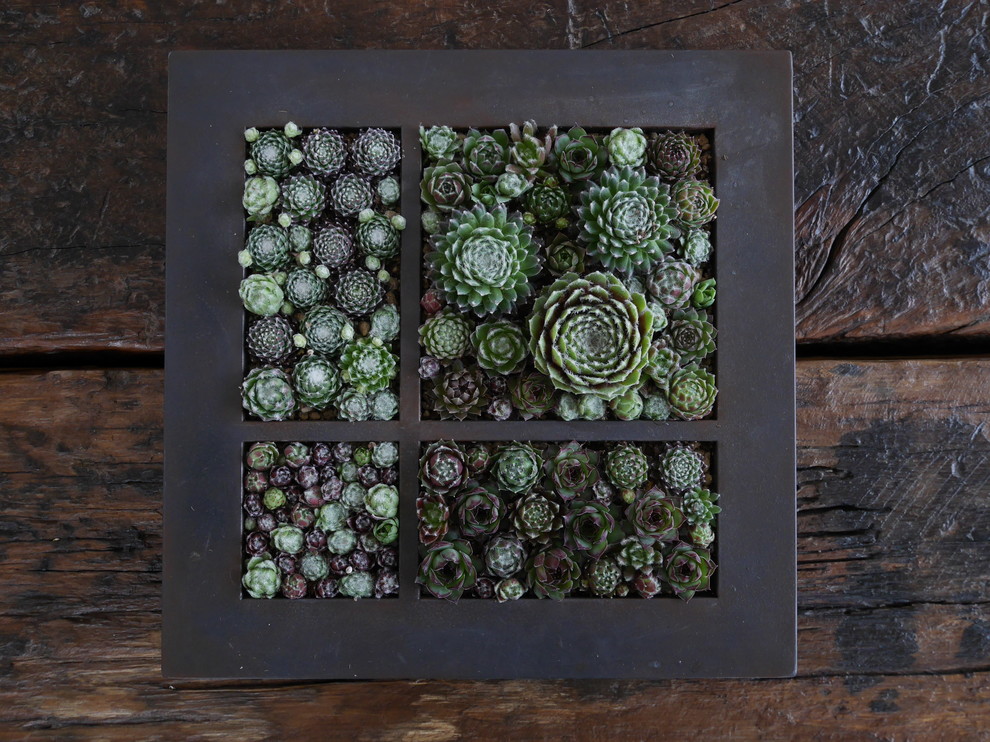 Inspiration for a small modern landscaping in Tokyo.