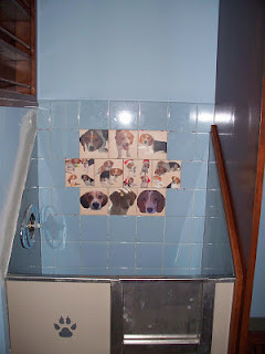 Immagine di una lavanderia eclettica
