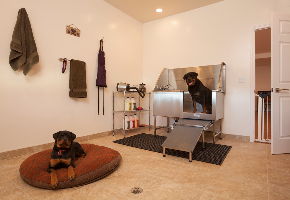 Photo of a large contemporary separated utility room in Denver with white walls and travertine flooring.