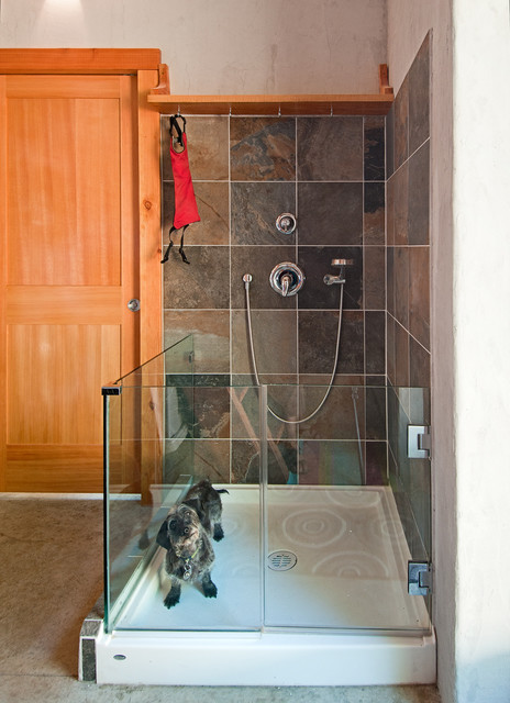 Must Haves For The Perfect Pet Shower In Your Home
