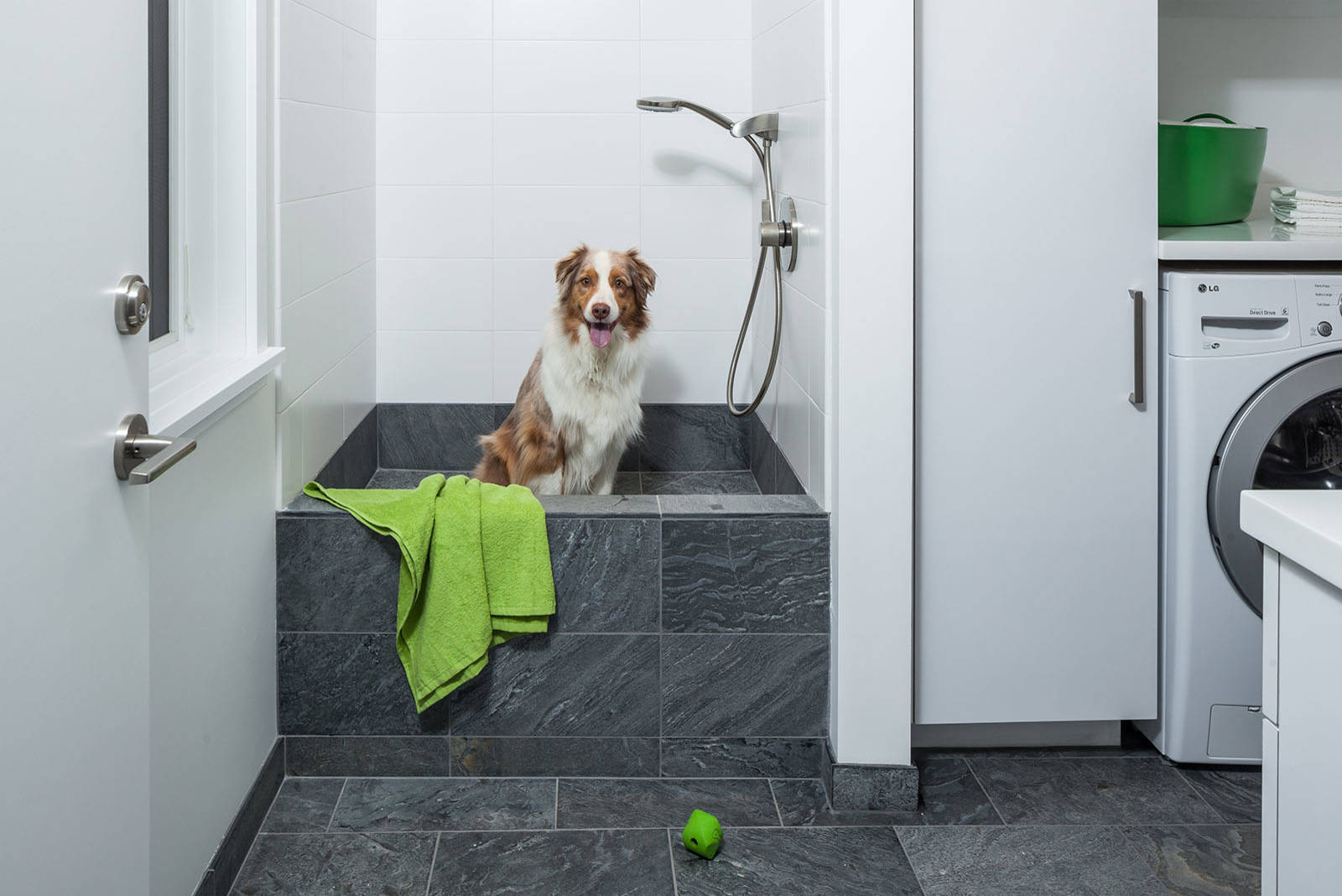 Dog shower enclosure online