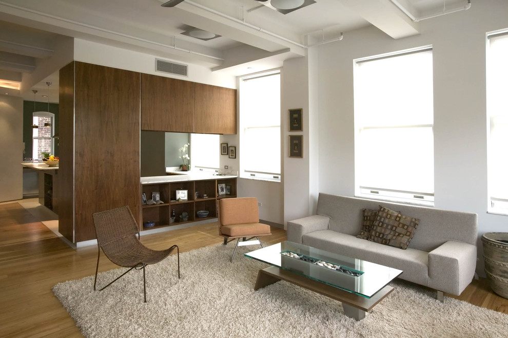 This is an example of a contemporary living room in New York with white walls.
