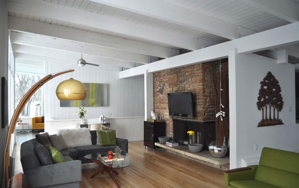 Living room - mid-century modern living room idea in Other with a standard fireplace