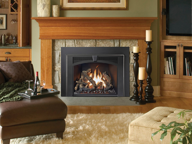34 DVL Gas Insert - Contemporary - Living Room - Seattle - by Lopi | Houzz