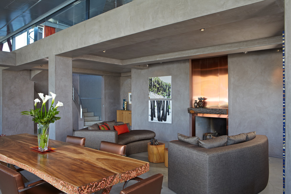 Minimalist concrete floor living room photo in Los Angeles with gray walls and a metal fireplace