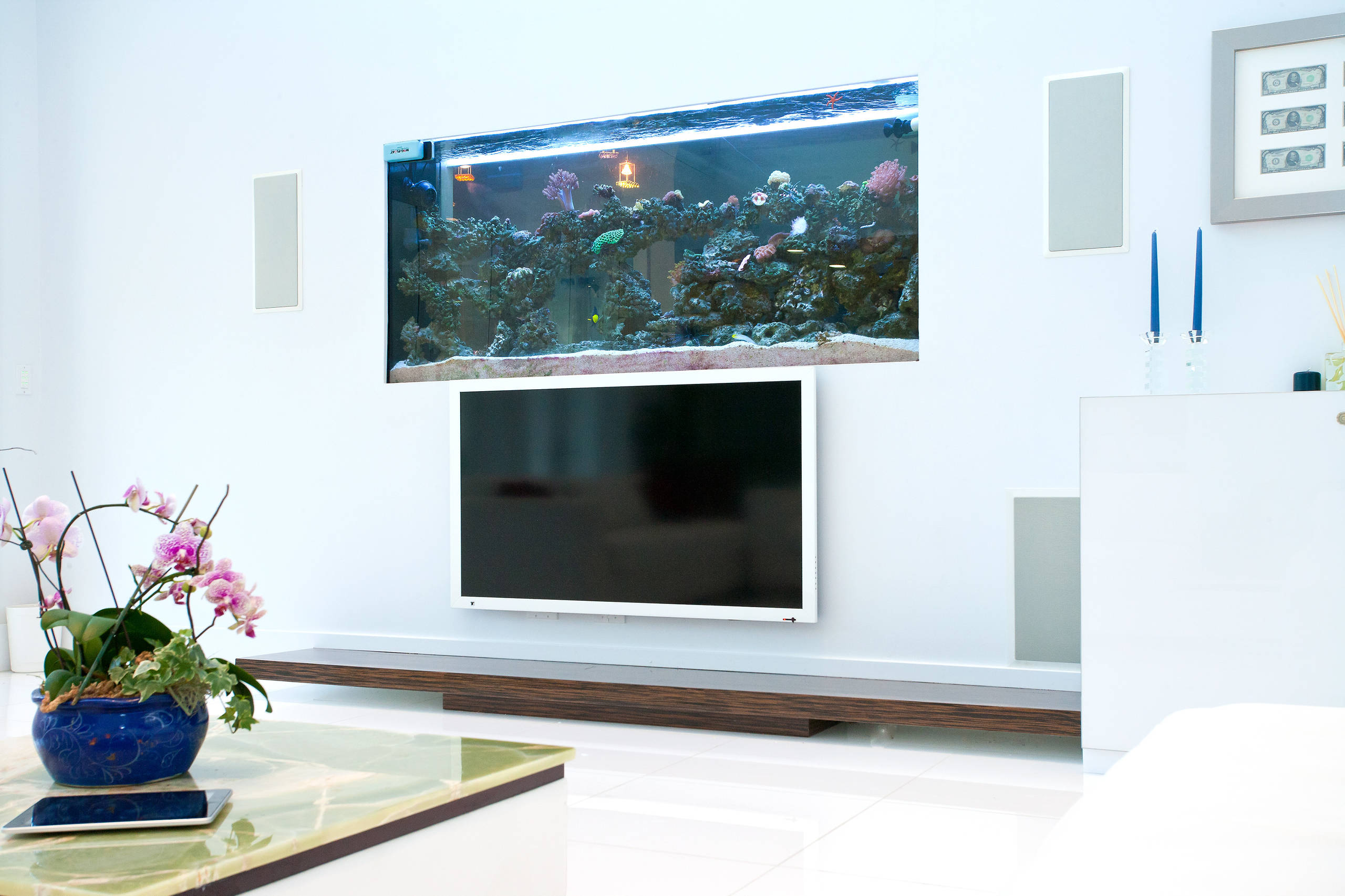 Aquarium Ideas: 13 Inspiring Ways to Add a Fishtank to Your Home