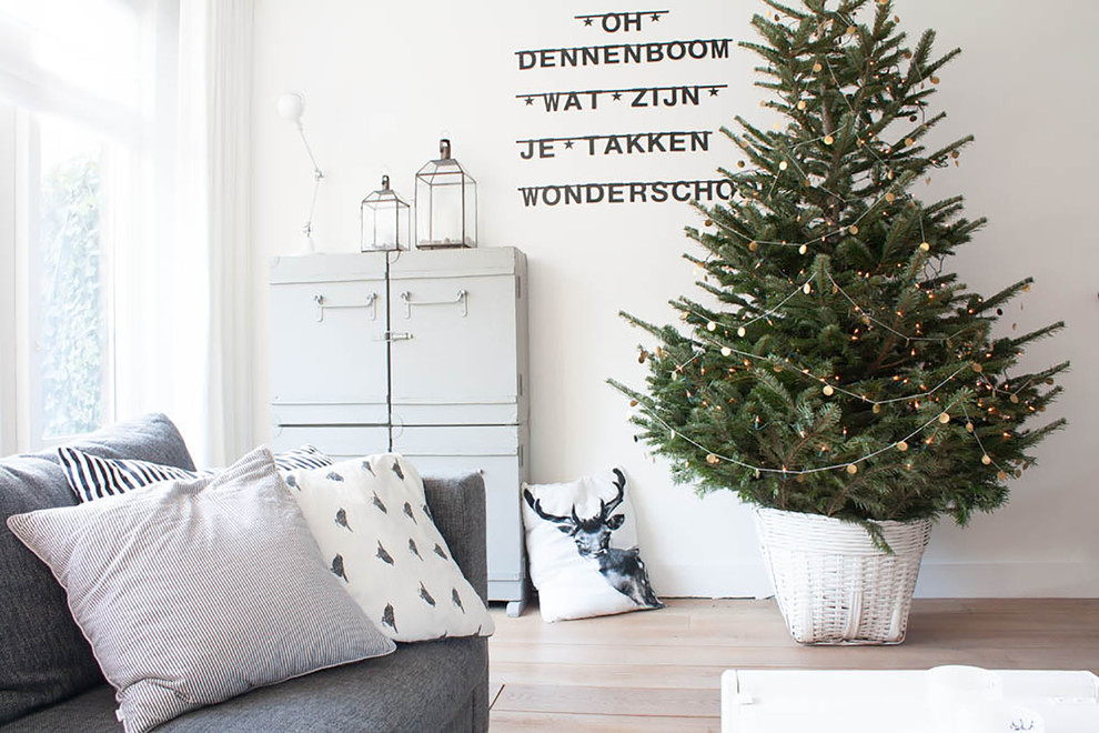 Example of a danish living room design in Amsterdam with white walls