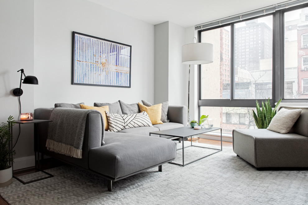 This is an example of a medium sized contemporary open plan living room in New York with grey walls, light hardwood flooring, no fireplace and brown floors.