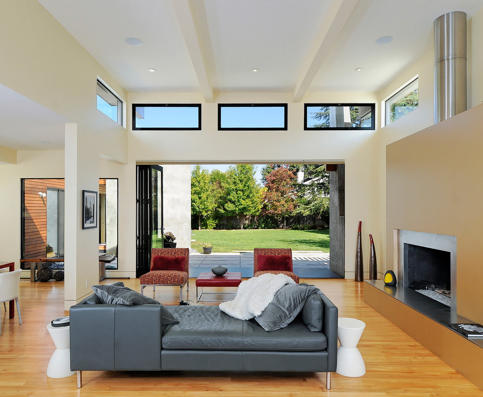 Cette image montre un salon minimaliste avec un manteau de cheminée en métal.