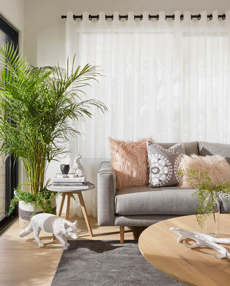 Modernes Wohnzimmer mit weißer Wandfarbe und hellem Holzboden in Melbourne
