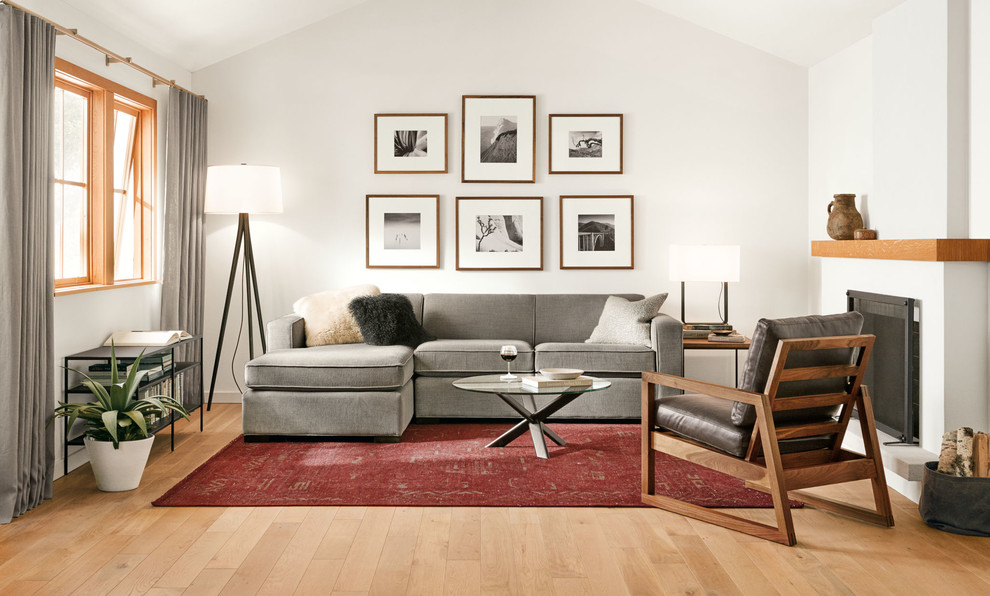 Example of a minimalist living room design in Minneapolis