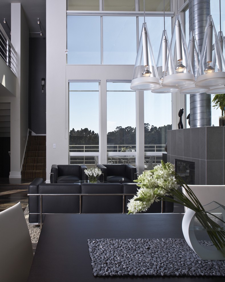 Modern open plan living room in San Francisco with white walls.