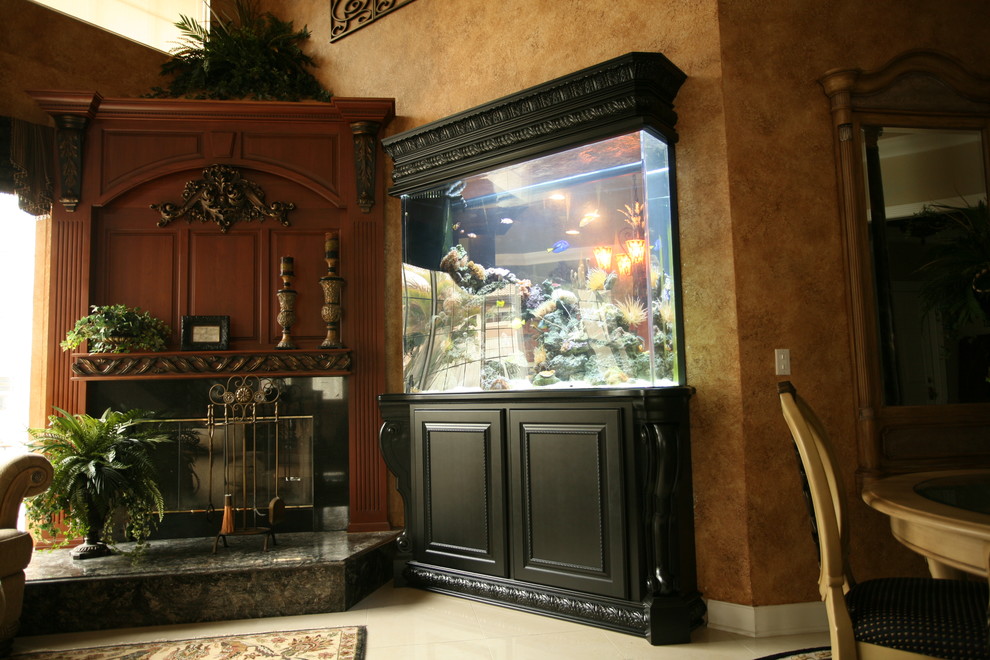 Aquariums Traditional Living Room Tampa by Tampa Bay Millworks