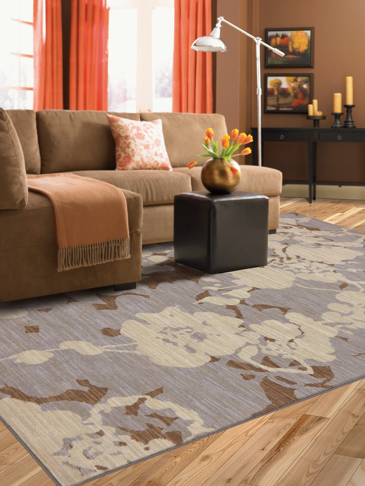 Area Rugs Transitional Living Room Indianapolis by Kermans Flooring Houzz