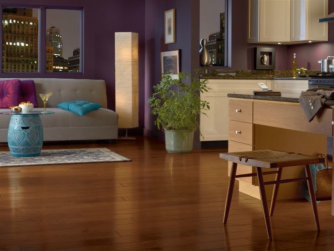 Idee per un soggiorno minimalista stile loft con pareti viola, pavimento in legno massello medio e pavimento marrone