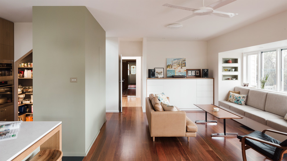 Diseño de salón abierto actual de tamaño medio con paredes blancas, suelo de madera en tonos medios y televisor retractable