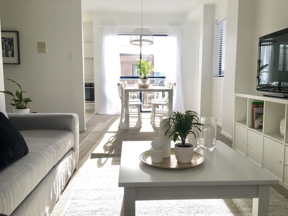 Foto di un piccolo soggiorno minimalista aperto con pareti bianche, moquette, nessun camino, TV autoportante e pavimento grigio