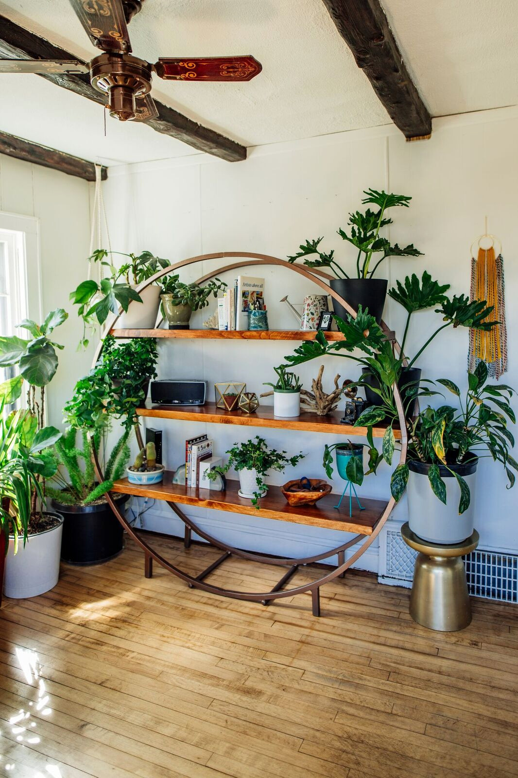 75 Small Tropical Living Room Ideas You