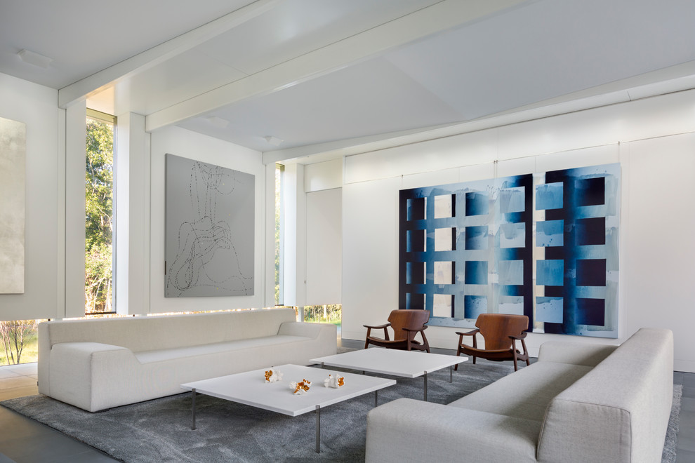 Cette image montre un grand salon minimaliste avec une salle de réception et un mur blanc.