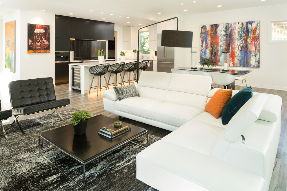Black and White Modern Contemporary Contemporary Living Room