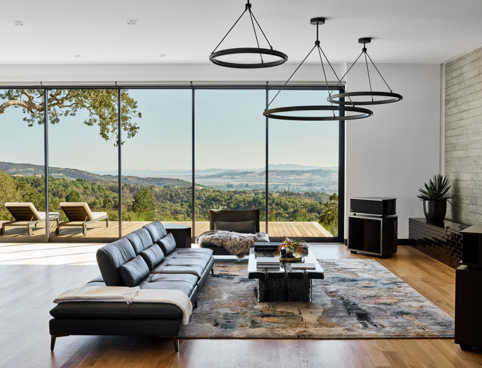 Modern open plan living room in San Francisco with white walls, medium hardwood flooring and brown floors.