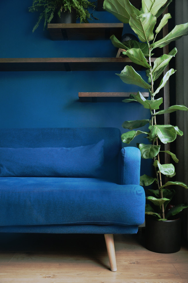 Идея дизайна: маленькая парадная, изолированная гостиная комната в скандинавском стиле с синими стенами, полом из ламината, двусторонним камином, фасадом камина из бетона, телевизором на стене, коричневым полом и многоуровневым потолком для на участке и в саду