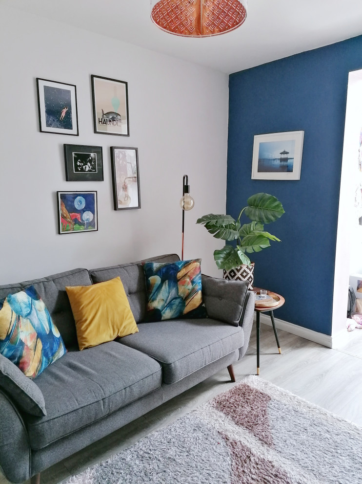 リムリックにあるお手頃価格の中くらいなエクレクティックスタイルのおしゃれなLDK (青い壁、ラミネートの床、薪ストーブ、金属の暖炉まわり、テレビなし、茶色い床) の写真