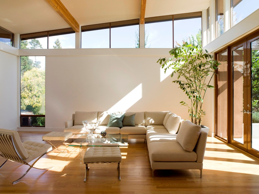 Modelo de salón minimalista con paredes blancas y suelo de madera en tonos medios