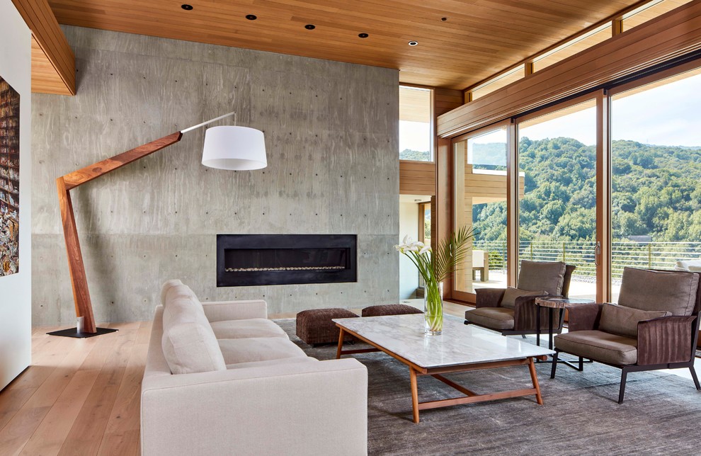 This is an example of a midcentury formal open plan living room in Other with grey walls, light hardwood flooring, a ribbon fireplace and a metal fireplace surround.