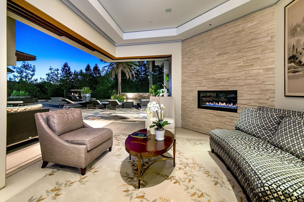 Modern living room in San Francisco with a stone fireplace surround.