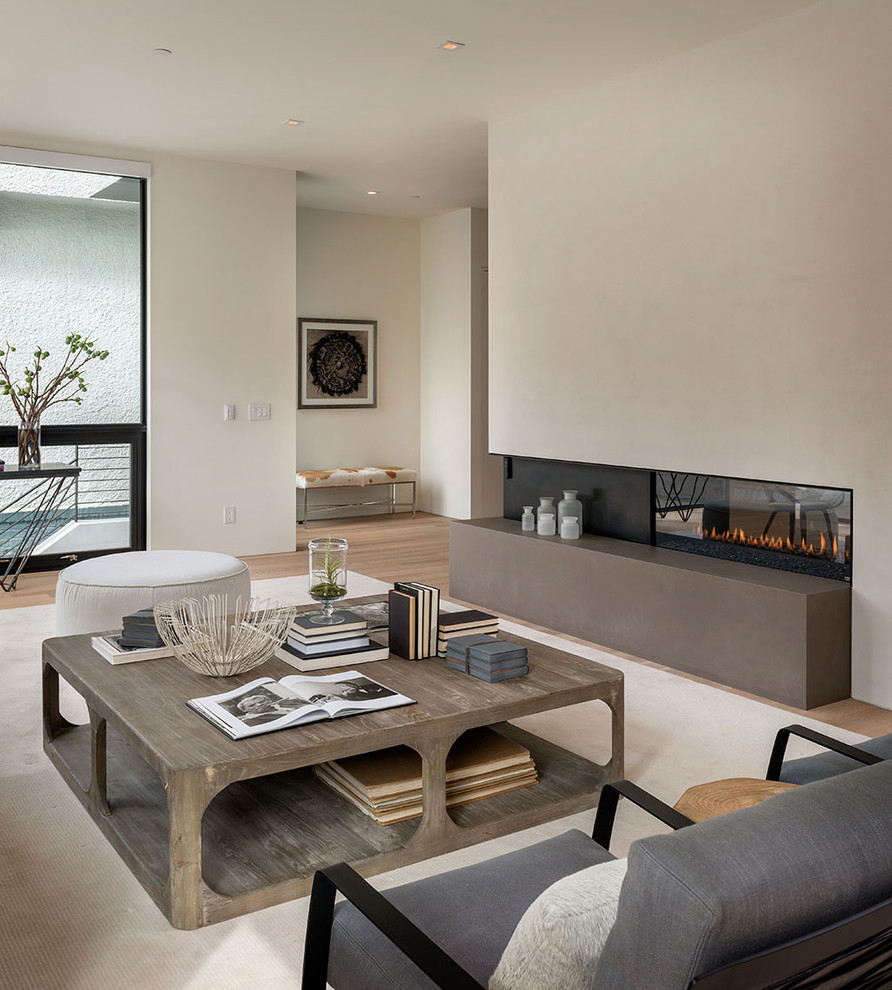 Ispirazione per un soggiorno moderno con pareti beige, camino bifacciale e tappeto