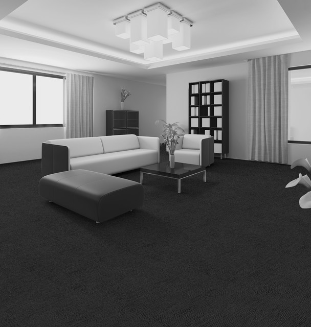 Carpet Modern Living Room Miami by Barnards Carpet One Floor