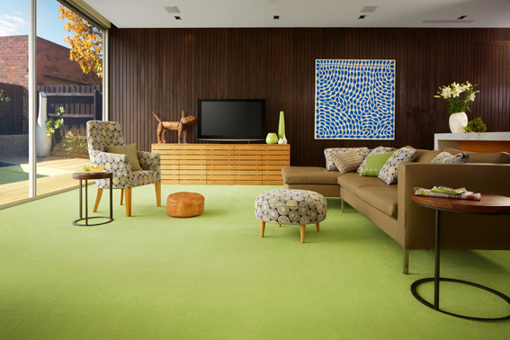 Mittelgroßes, Offenes Modernes Wohnzimmer mit grauer Wandfarbe, Teppichboden und freistehendem TV in Melbourne