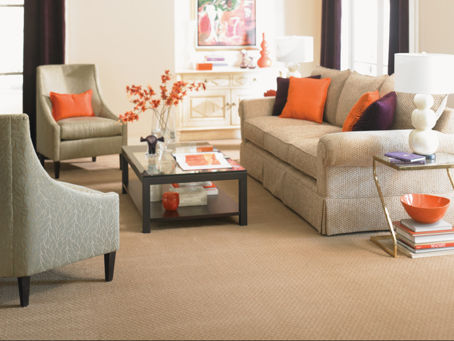 Carpet gallery Traditional Living Room Cleveland