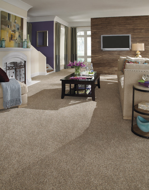 Carpet One Design Gallery Transitional Living Room Other by