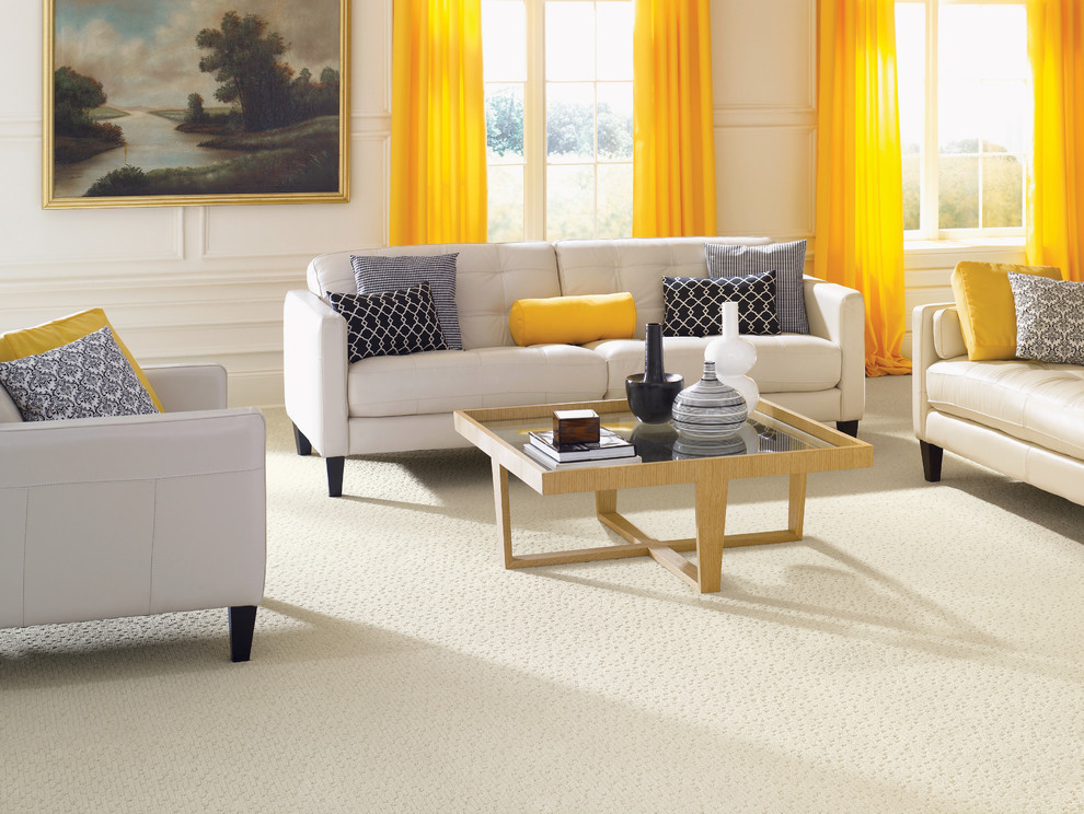 modern carpeted living room