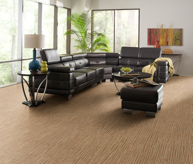 Carpet, Tile and Flooring Modern Living Room New York by