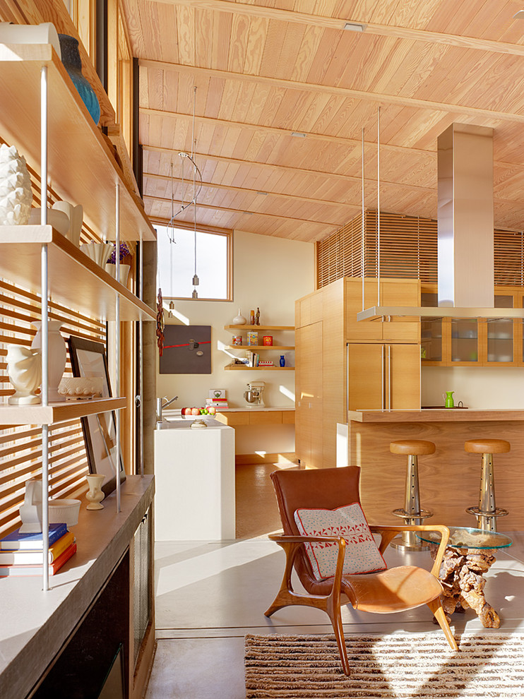 Photo of a scandinavian open plan living room in San Francisco.