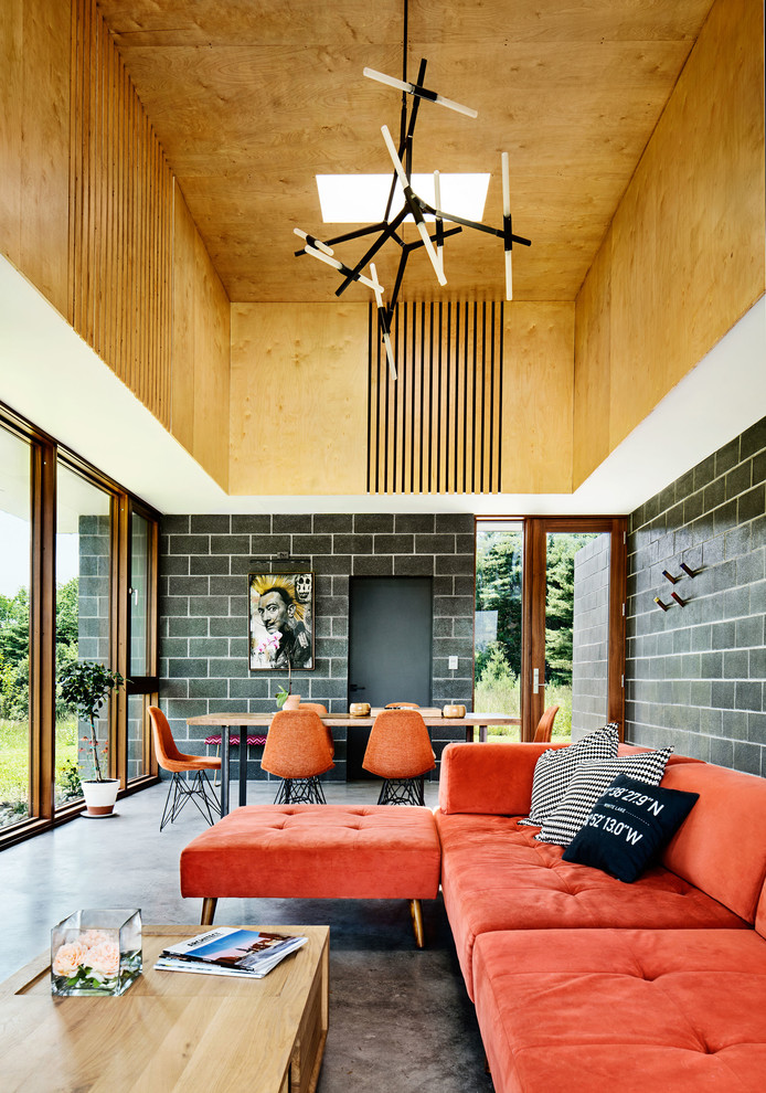 Ispirazione per un piccolo soggiorno minimalista aperto con pareti grigie, pavimento in cemento, cornice del camino in cemento e pavimento grigio
