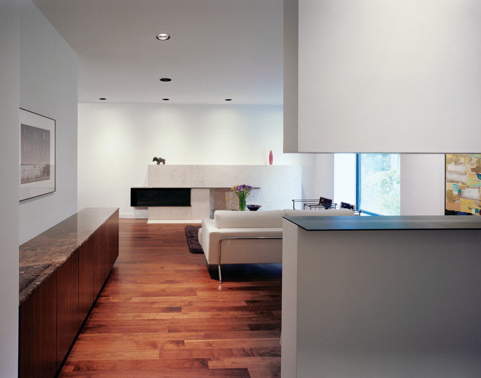 Design ideas for a contemporary living room in Toronto.