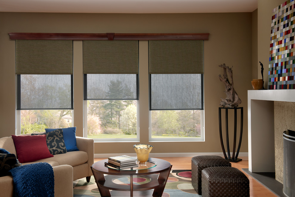Cellular Shades Contemporary Living Room Other by Couture