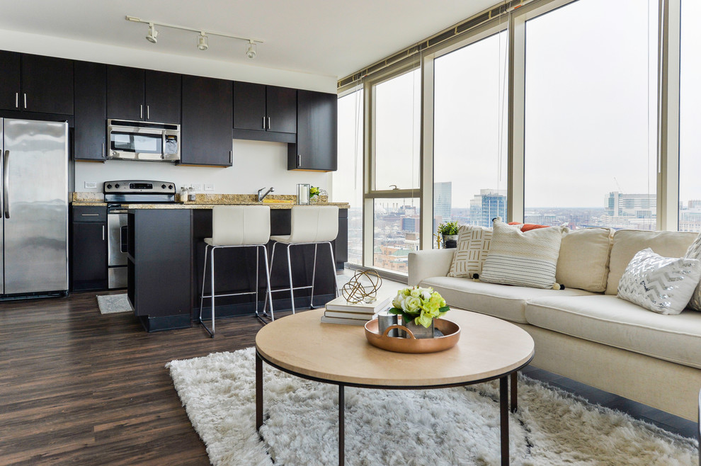 Chestnut Street Downtown Philly Apartment Interior Design Eclectic