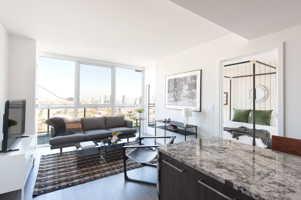 Chicago Apartment Living Room Chicago by Sun Soul Style Interiors