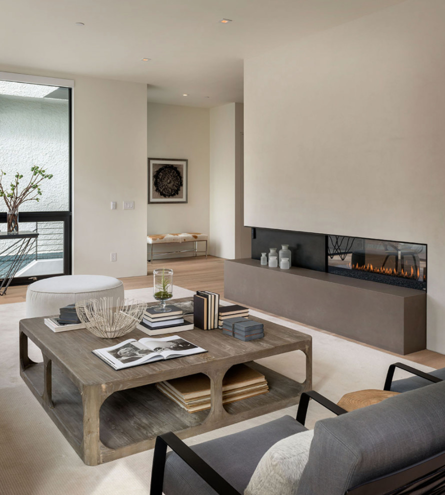 Offenes Modernes Wohnzimmer mit beiger Wandfarbe, hellem Holzboden und Tunnelkamin in San Francisco