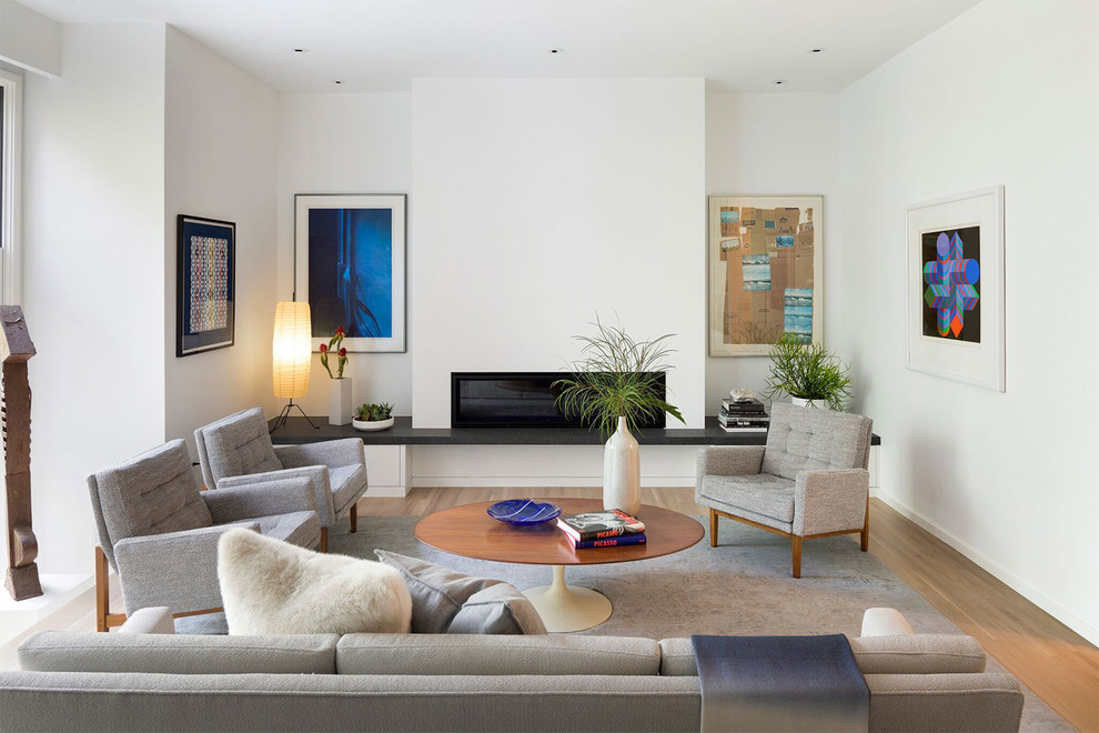 Contemporary living room in Minneapolis with white walls, medium hardwood flooring, a ribbon fireplace and brown floors.