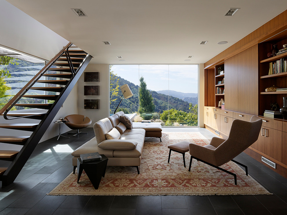 Contemporary living room in San Francisco.