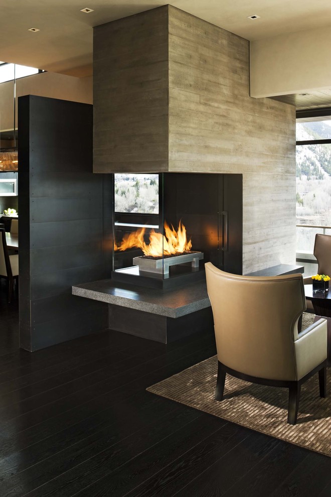 Living room - large contemporary open concept living room idea in Denver with a two-sided fireplace