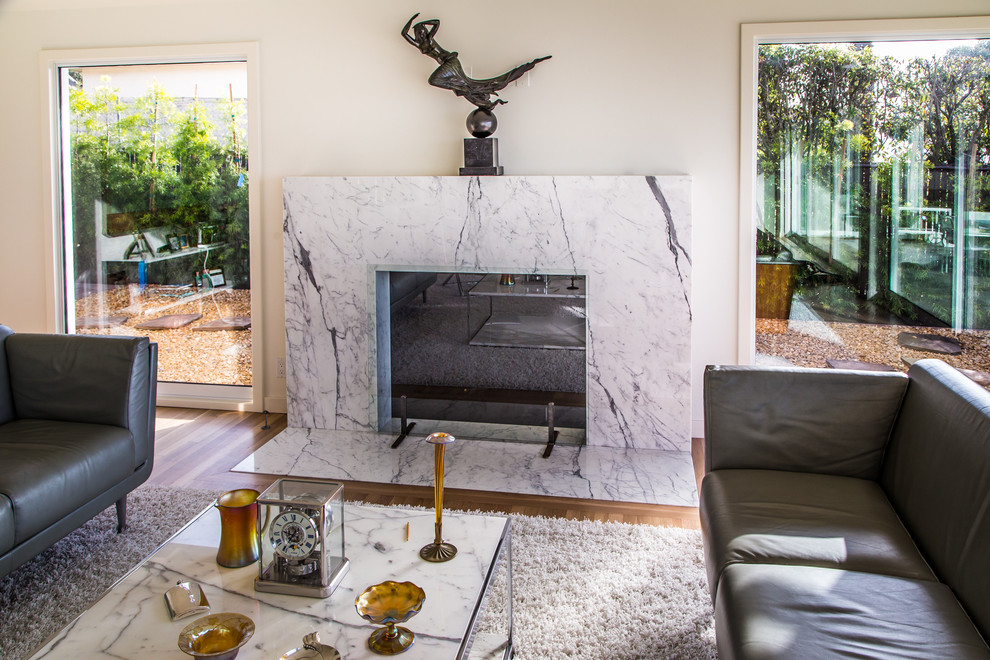 Photo of a medium sized contemporary open plan living room in Santa Barbara.