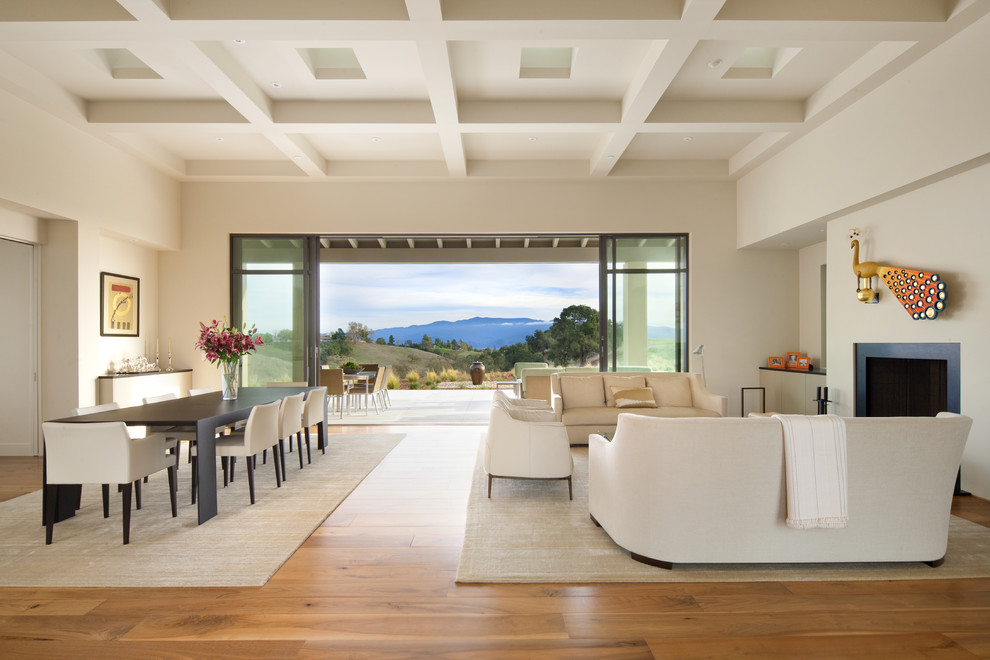 Fernseherloses Modernes Wohnzimmer mit Kamin in Santa Barbara